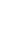 Cash Rebate